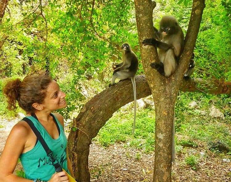Monkeys in Southeast Asia