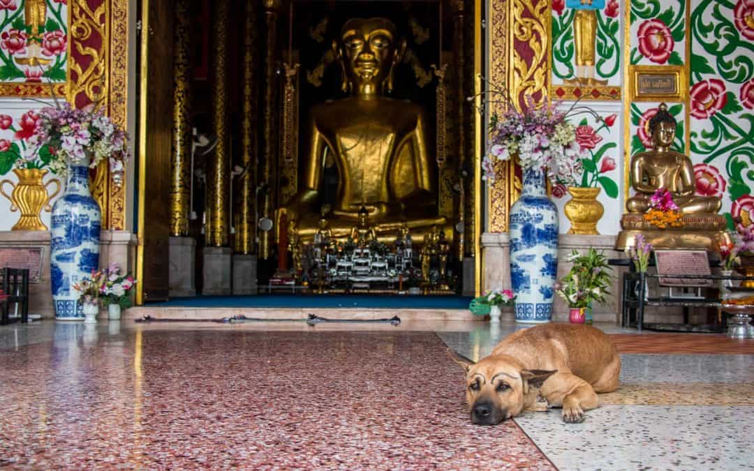 Chiang Rai Itinerary: 10 Things To Do In Chiang Rai That You Can’t Miss