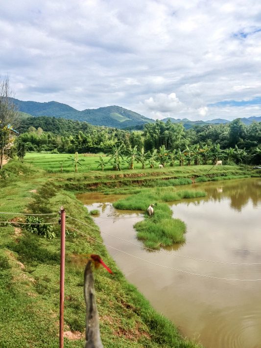 9 Things To Do Around Luang Namtha and Muang Sing, Laos