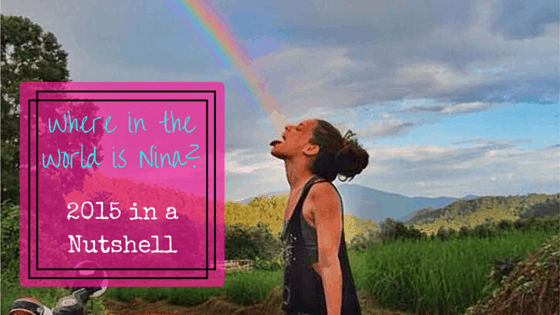 Where in the World is Nina? 2015 in a Nutshell