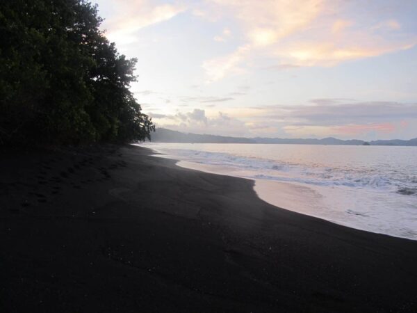 Tangkoko Beach, Sulawesi