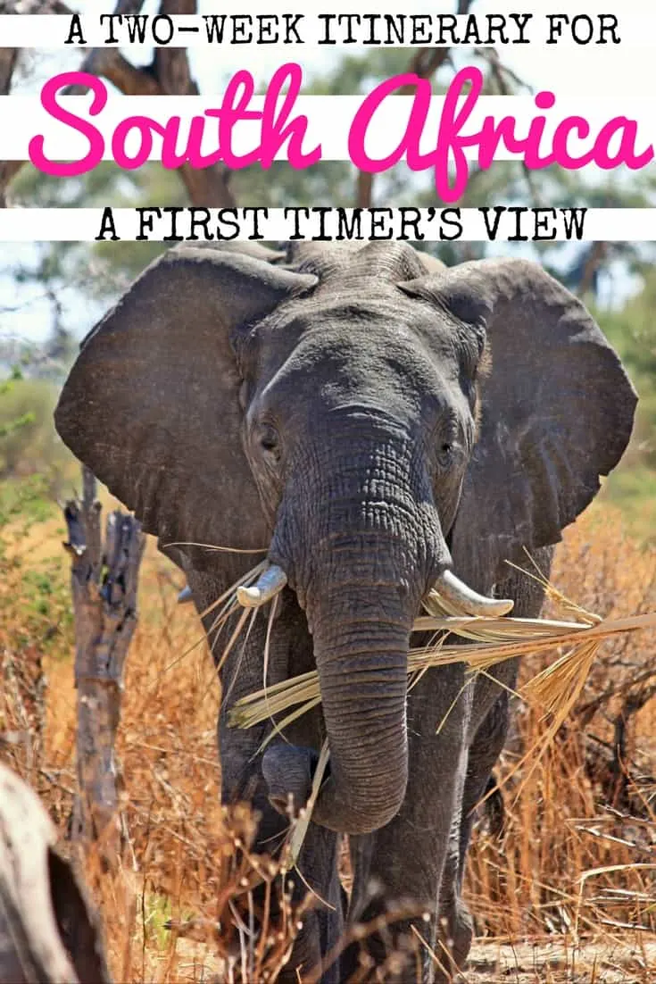 two week itinerary for South Africa