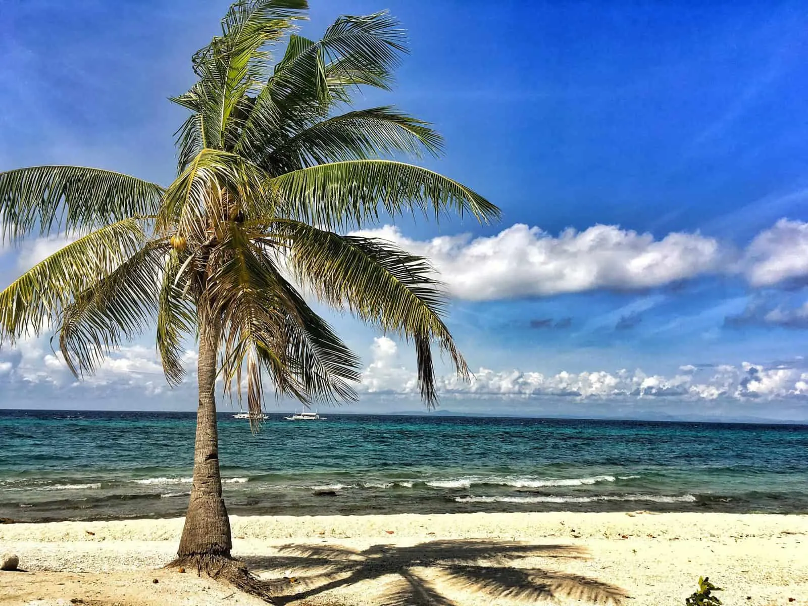 Guide To Kalanggaman Island: One Of The Best Sandbars In The Philippines