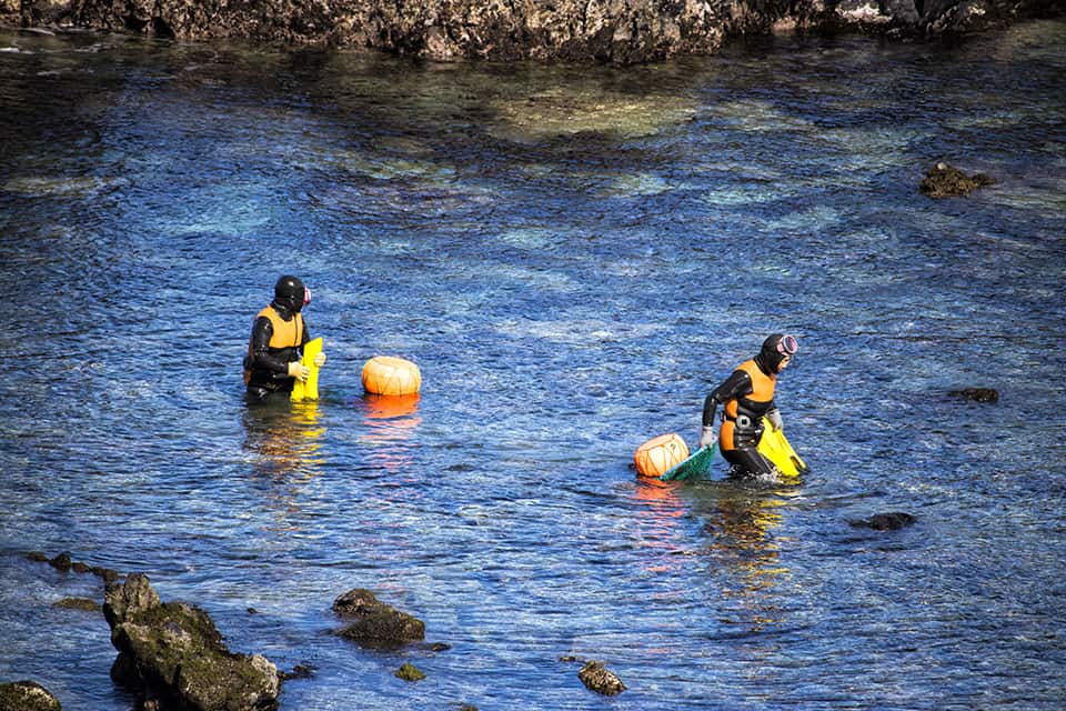 Jeju Women Divers - Haenyeo Things To Do In Jeju road trip