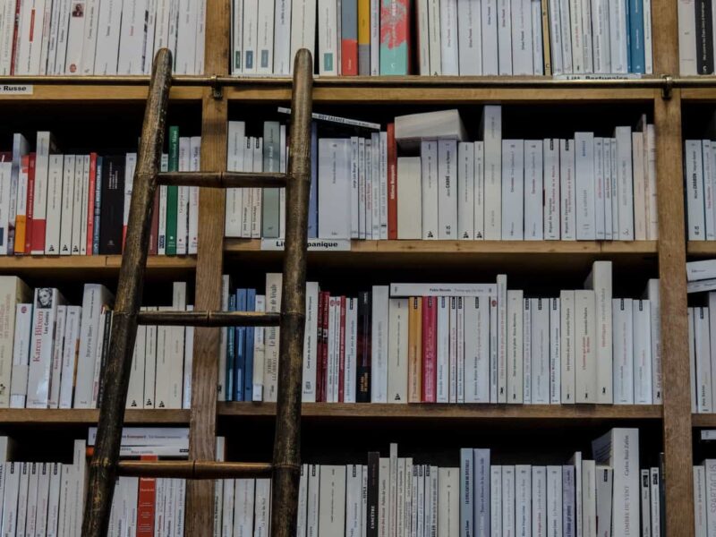 book case with ladder