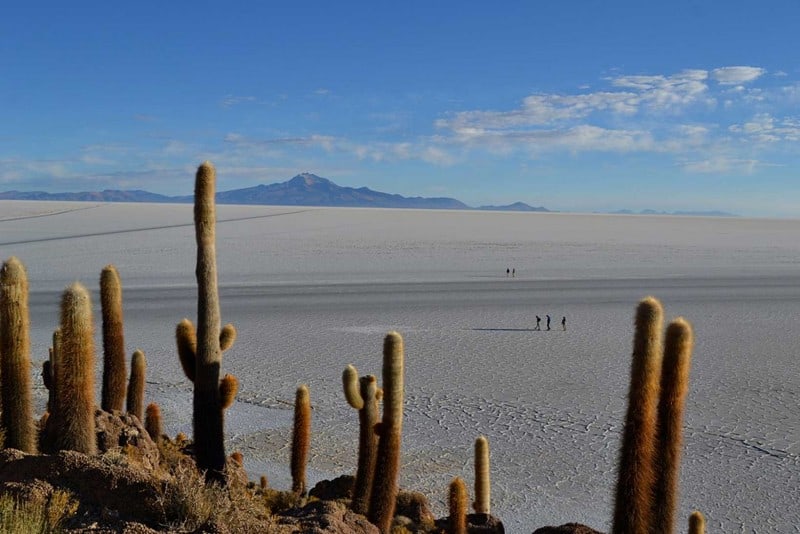 Wander the Isla Incahuasi in Bolivia.