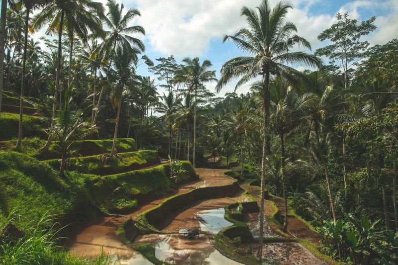 Working abroad without experience is easier than you think!