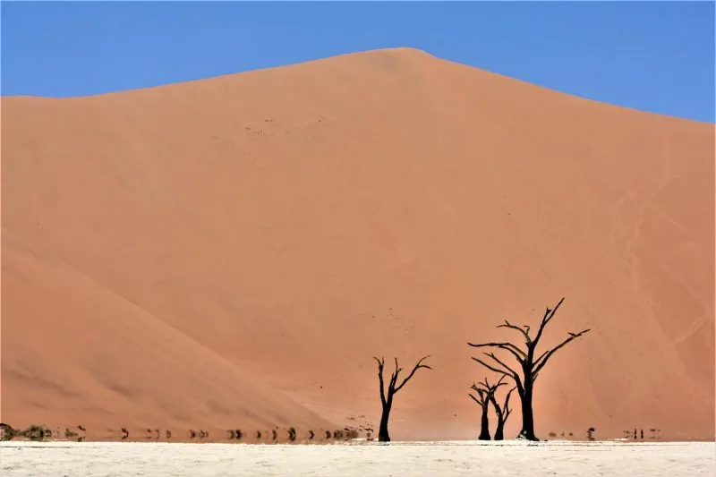 Visiting Deadvlei on a self-drive Namibia trip