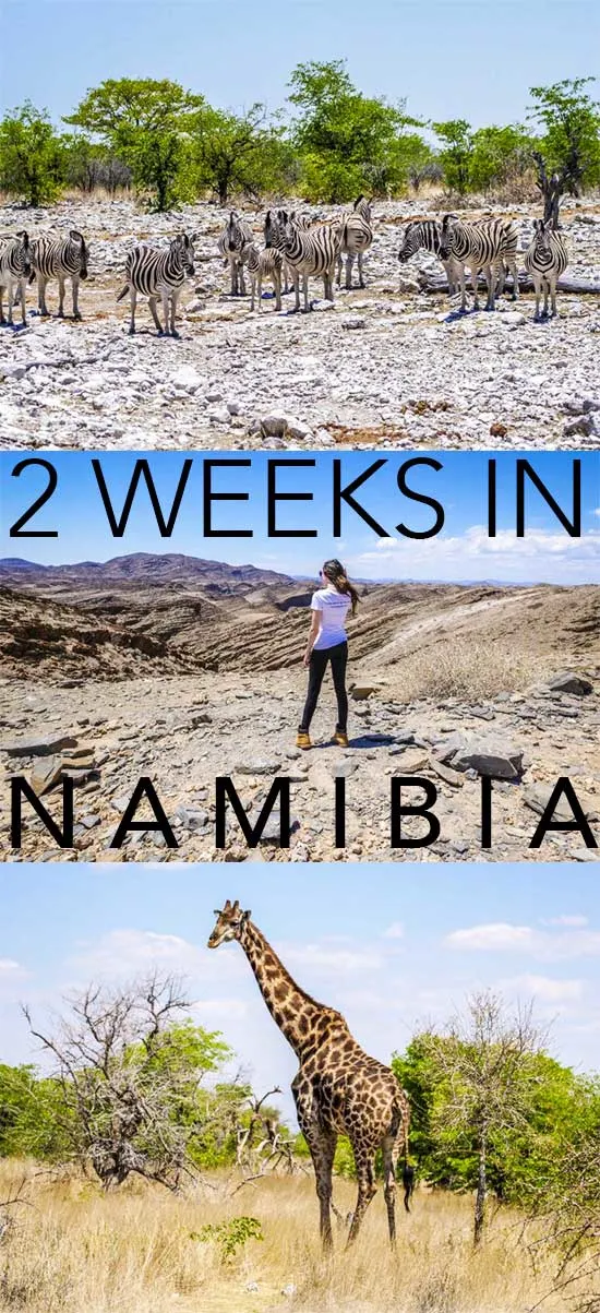 Self drive with this namibia itinerary