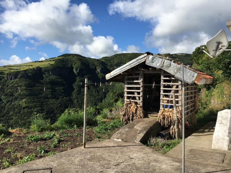 watching this typical farm shed is one of the best things to do in azores