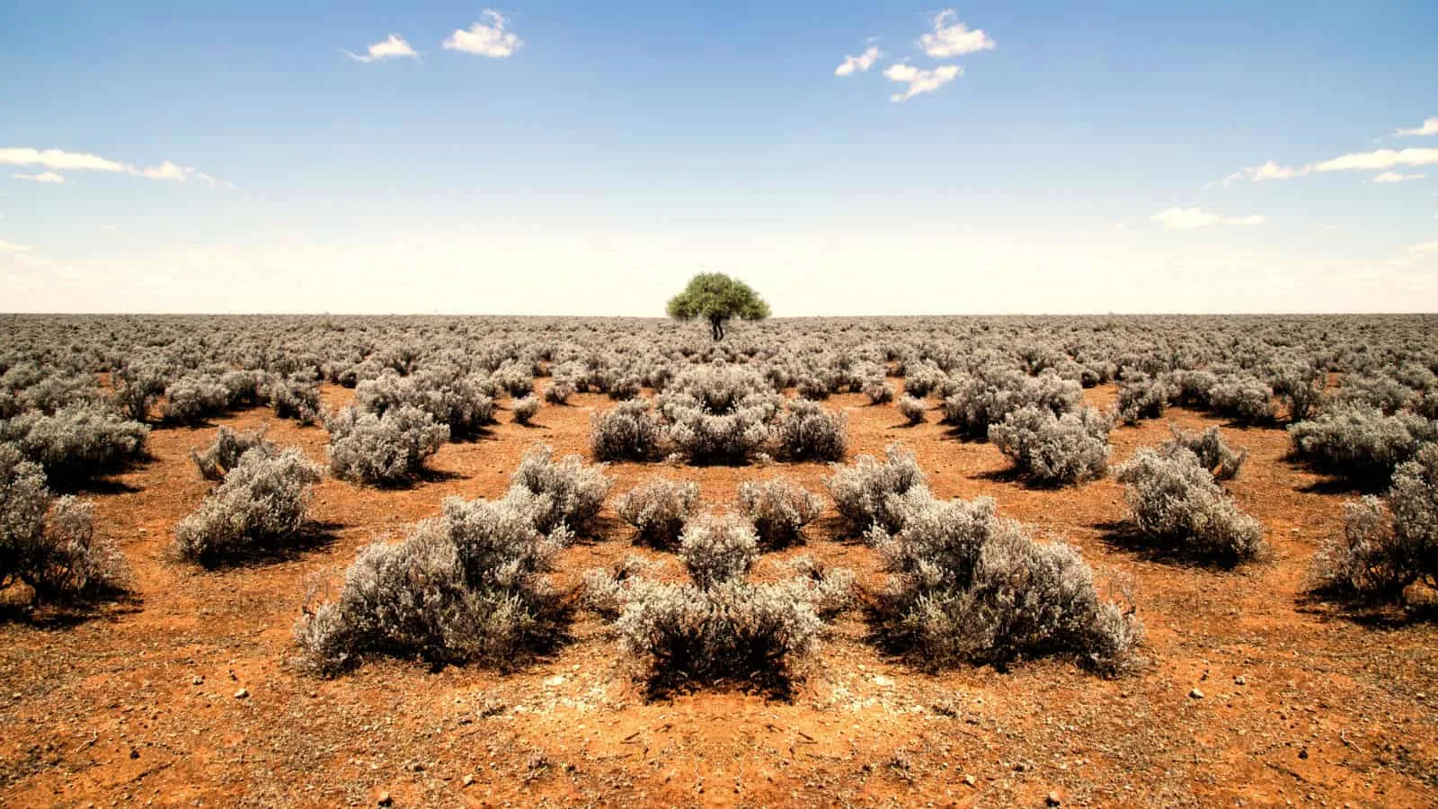 Working abroad in Australia can result in some serious cash.