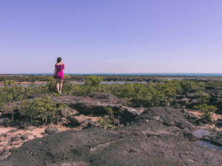 An American Expat: Working and Living in Darwin, Australia