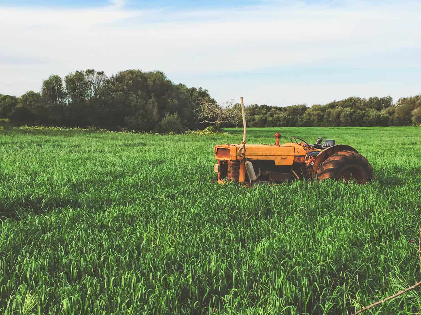 Getting job on a farm abroad showing a tractor in grass.