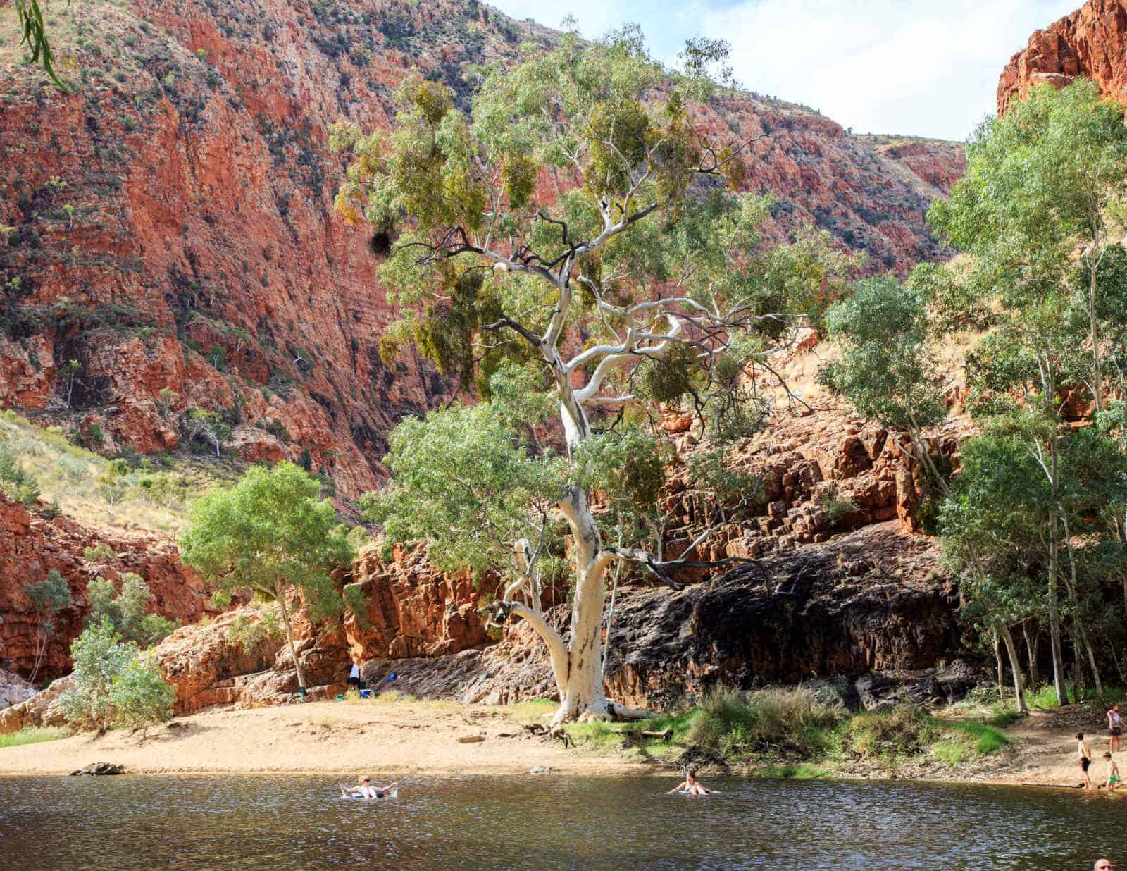 Ormiston Gorge is one of the best things to do near Alice springs.