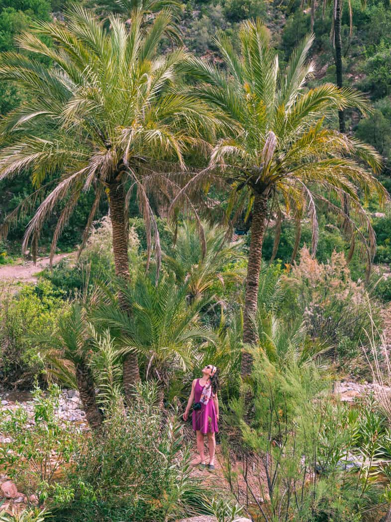 Drink OJ and swim amongst the palm trees at Paradise Valley, Morocco.