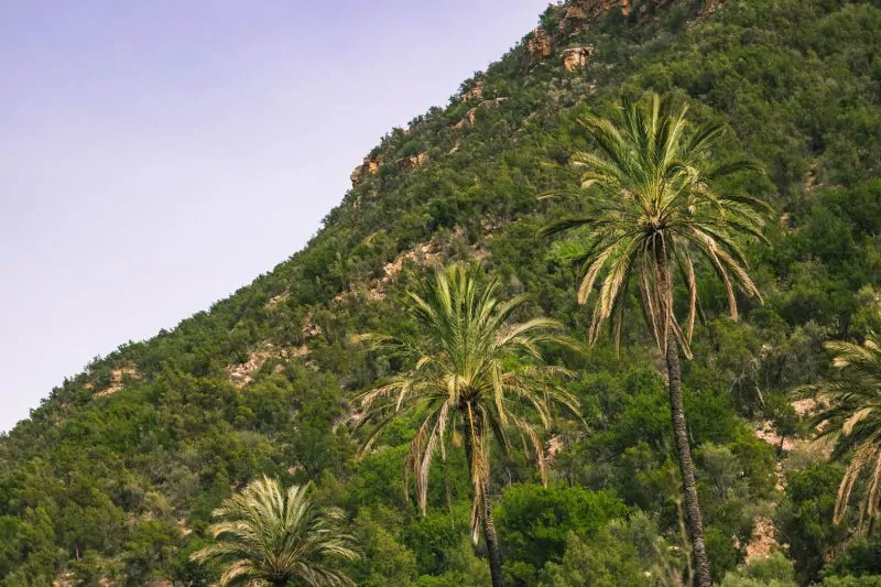 How to Visit Paradise Valley Morocco: A Day Trip to an Oasis