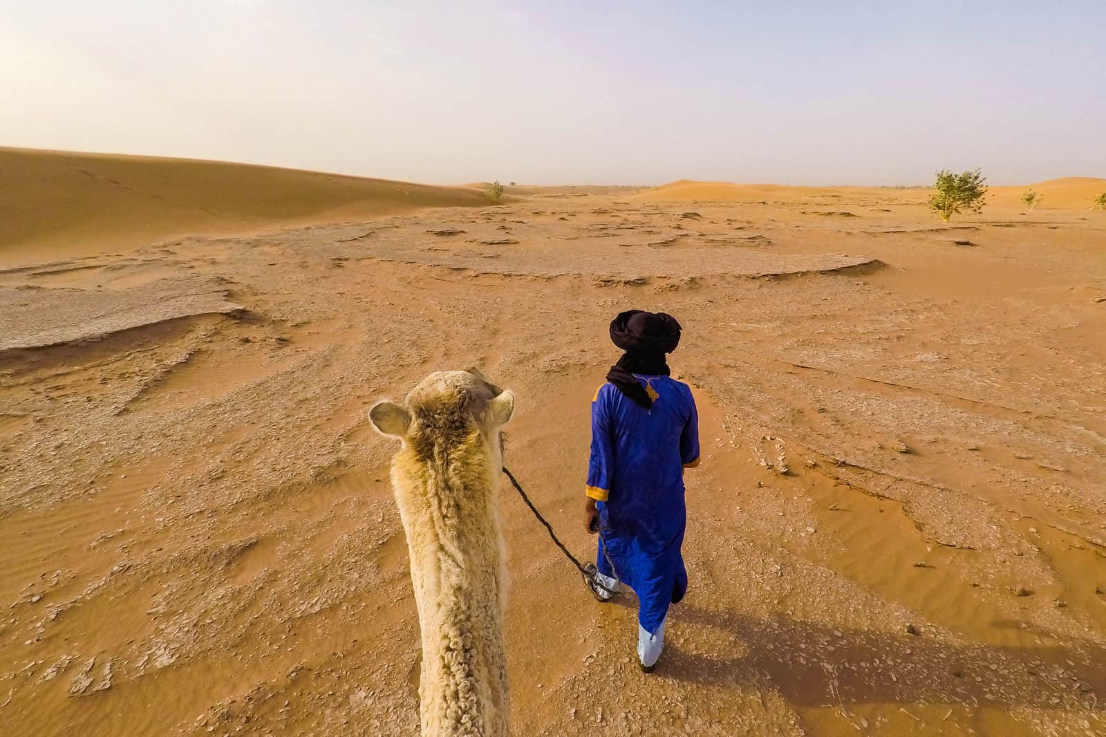 21+ Phenomenal Morocco Tours: Adventures, Desert Getaways, & More