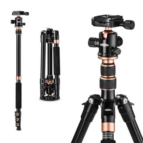 Rangers 57” ultra compact