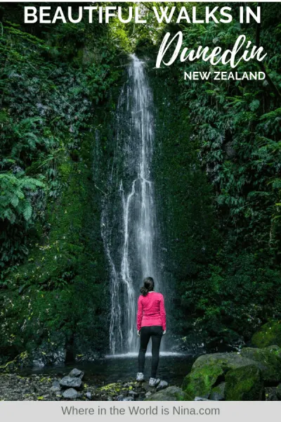 4 Easy But Beautiful Walks Around Dunedin, New Zealand