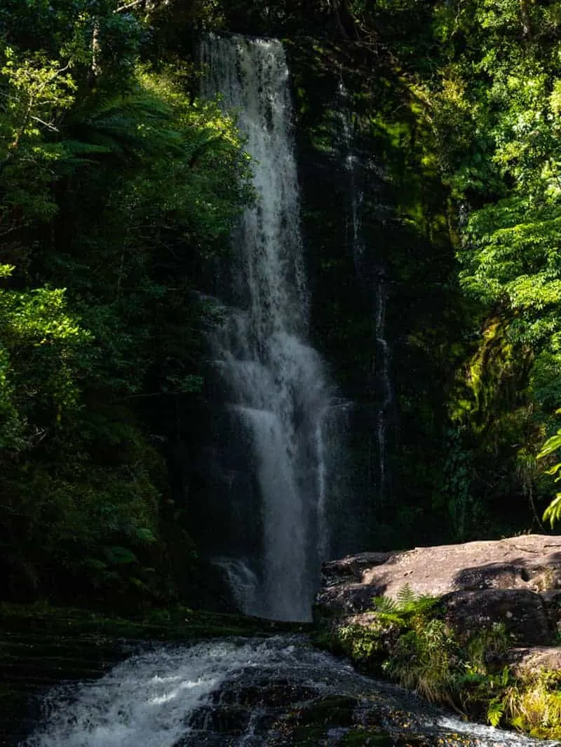 McLean Falls is an adventurous thing to do in South Island.