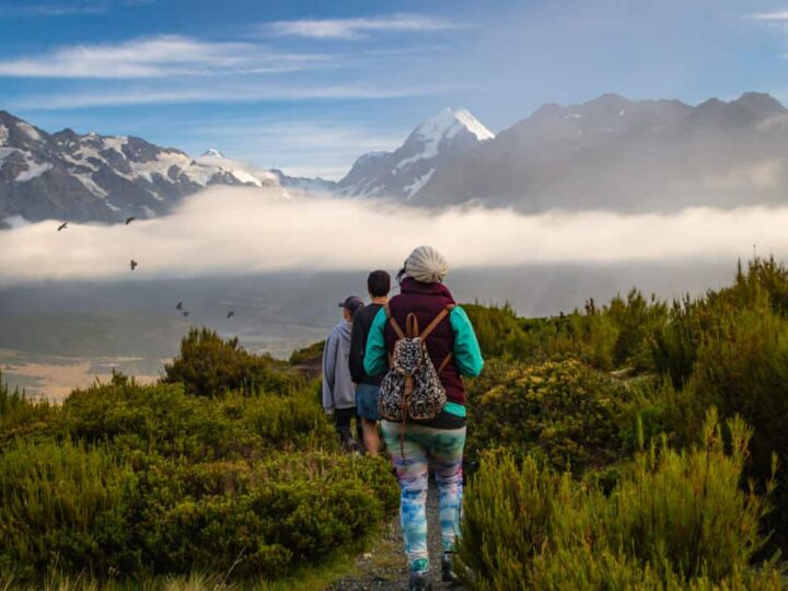 5 Epic Hikes in Mount Cook National Park That Are TOTALLY Worth It (New Zealand)