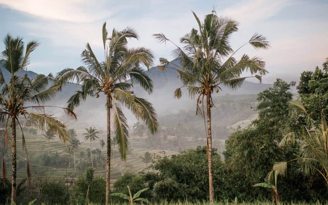 7-Day Bali Itinerary: Beaches, Adventures, and Culture