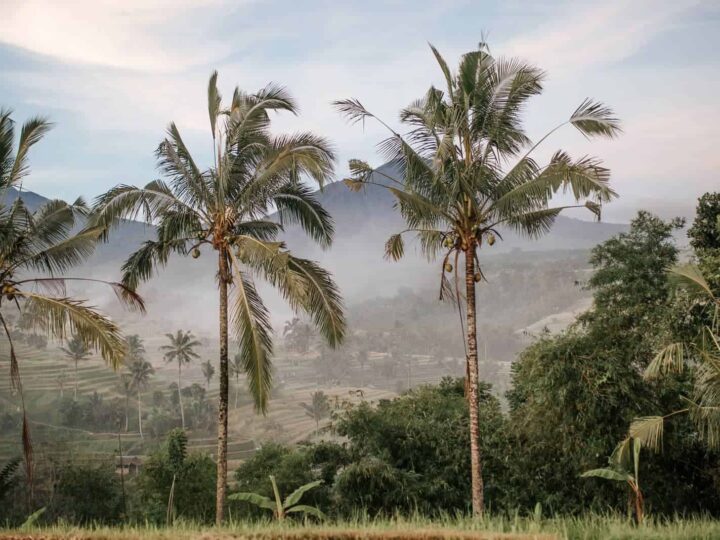 7-Day Bali Itinerary: Beaches, Adventures, and Culture