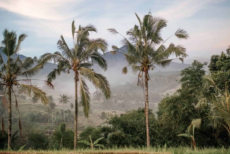 Bali itinerary