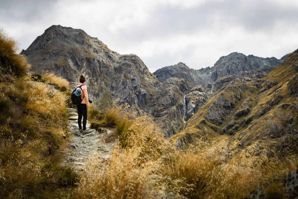 Things to Do in Lake Tekapo, New Zealand for Adventurers