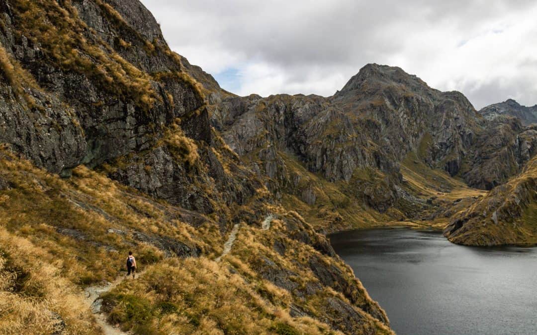Guide to the Routeburn Track Should You Do It as a Day Hike? (New Zealand)