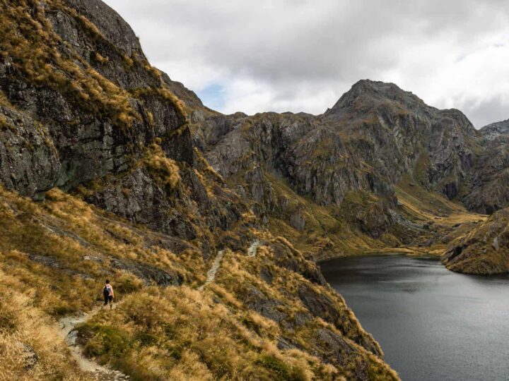 Guide to the Routeburn Track: Should You Do It as a Day Hike? (New Zealand)