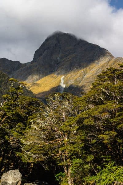 Routeburn track peak