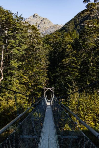 Routeburn track suspension bridge