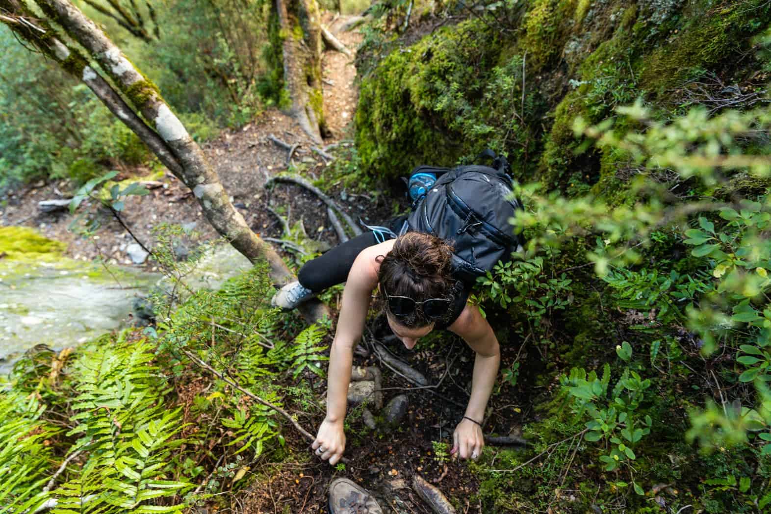 French ridge hut forest climb