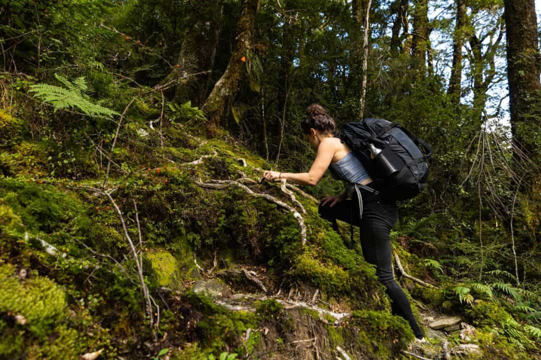 French Ridge A Guide to Hiking to French Ridge Hut in New Zealand