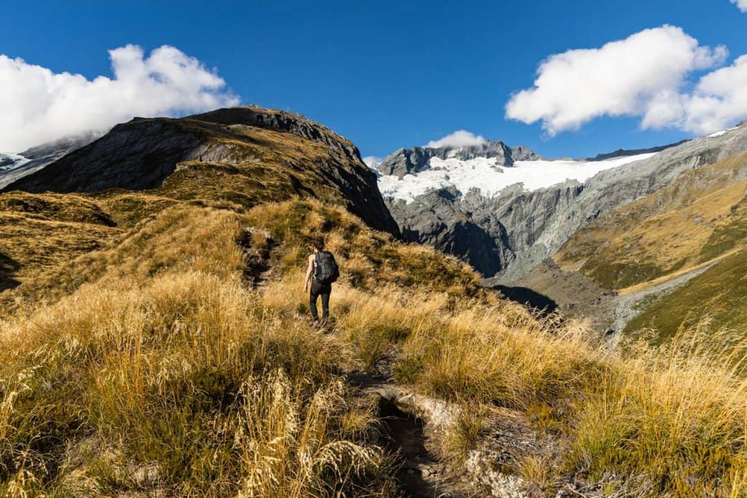 French Ridge A Guide to Hiking to French Ridge Hut in New Zealand