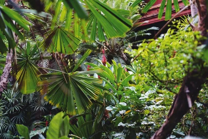 Jim Thompson house Thailand