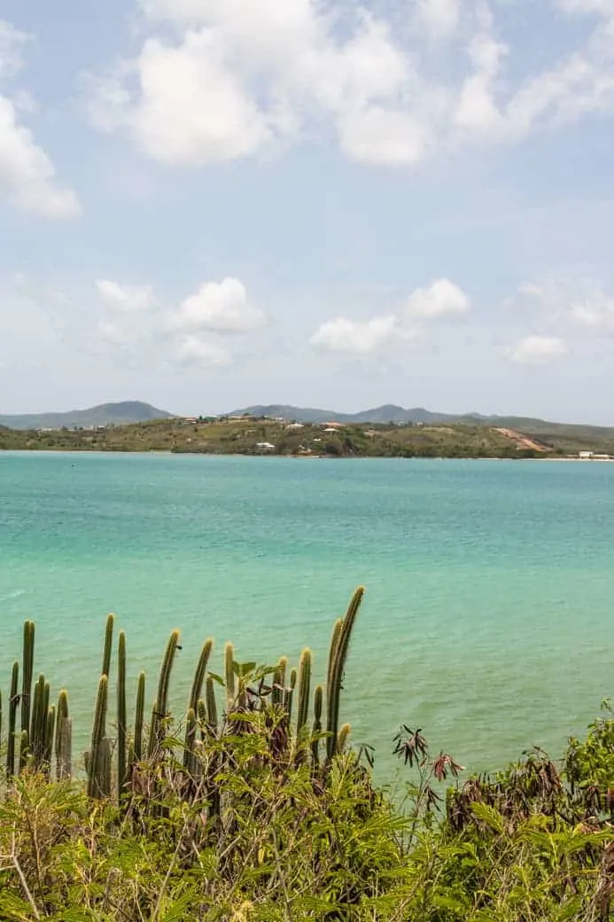 Antigua fort view