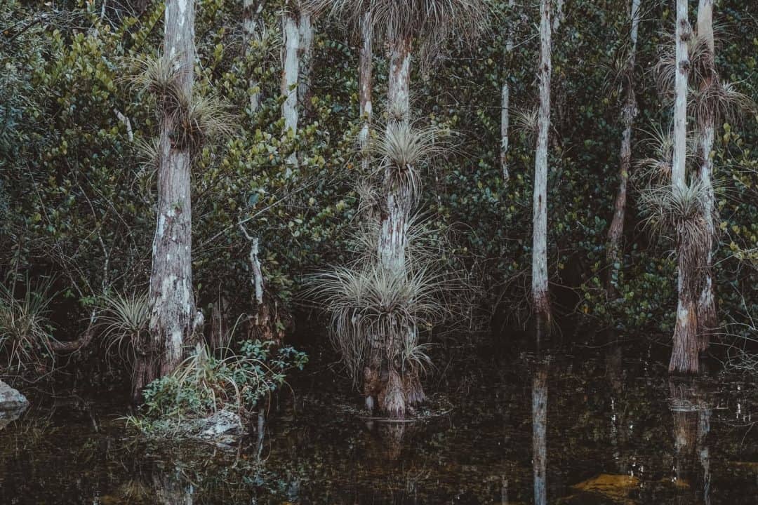 How To Get Seasonal National Park Jobs in the USA