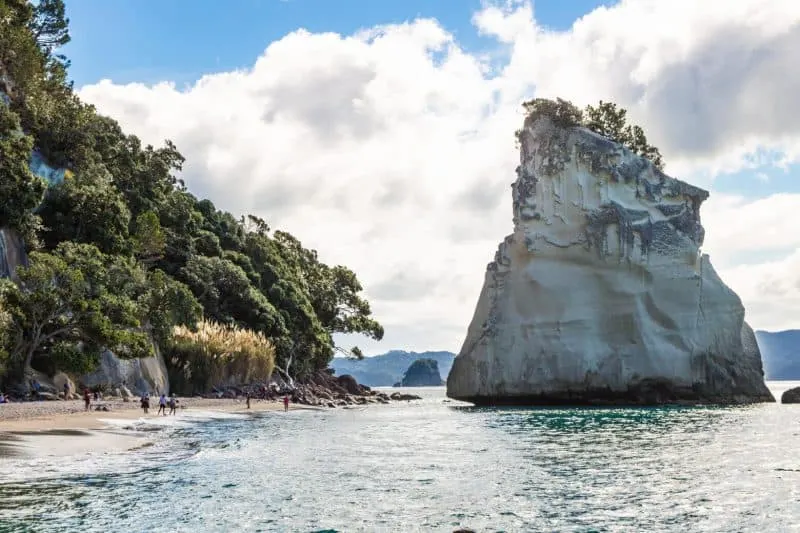 Cathedral cove beach