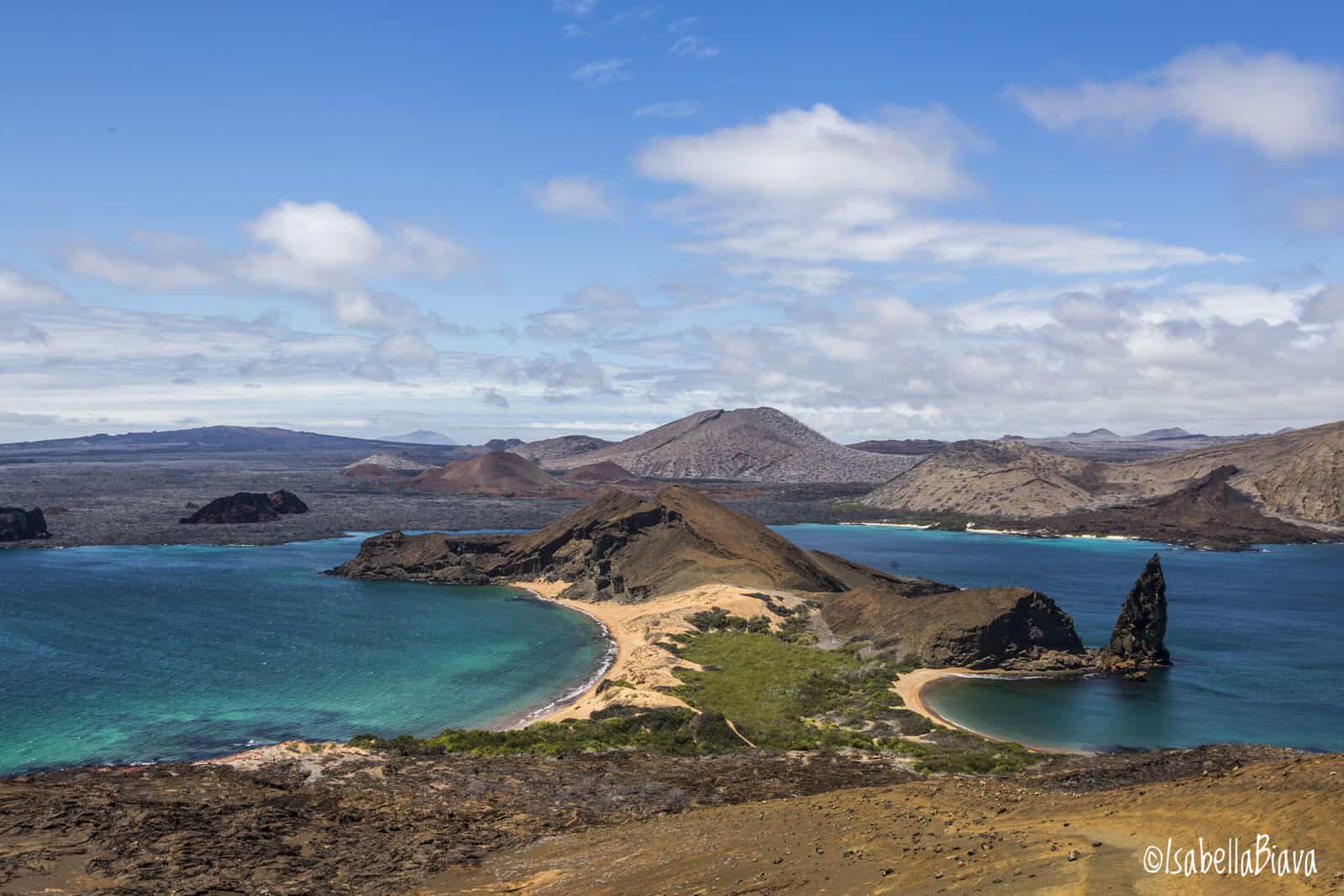 the insta-famous Bartolome Island