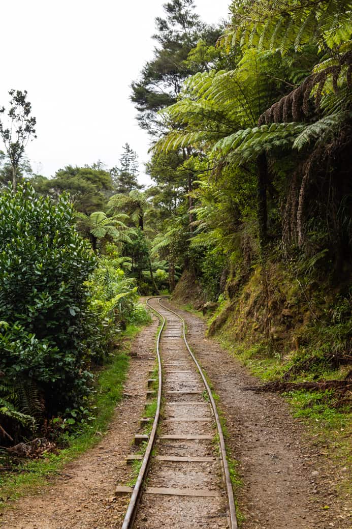 Karangahake Gorge train tracks