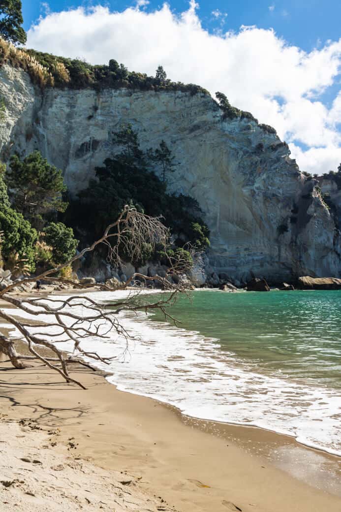 Sting Ray Cove at Cathedral Cove