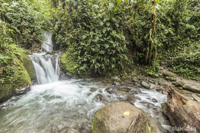 Mindo waterfall on an Ecuador itinerary