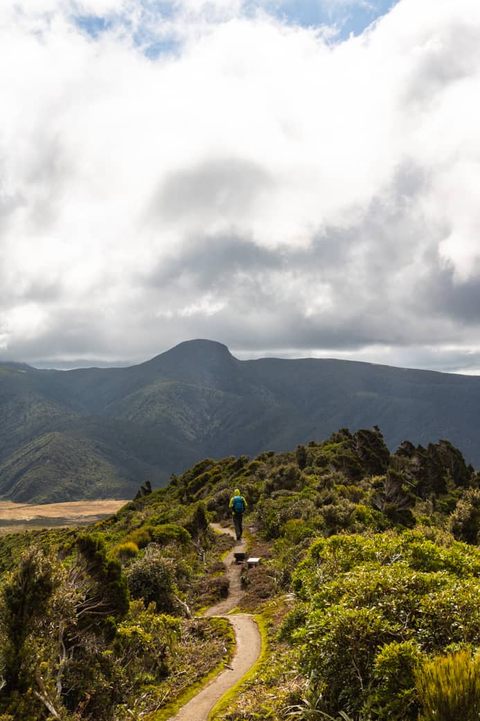 Pouakai circuit hike trail