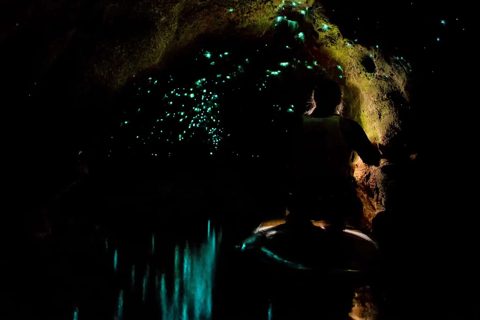 Rotorua Sup Glowworm