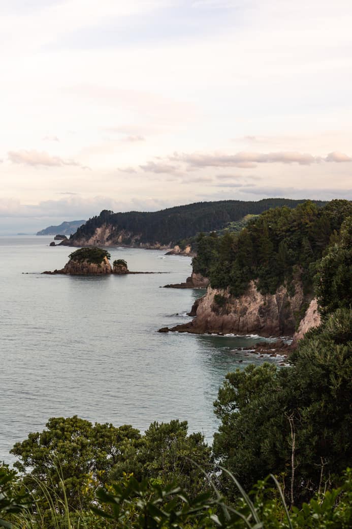 The Coromandel Onemata beach