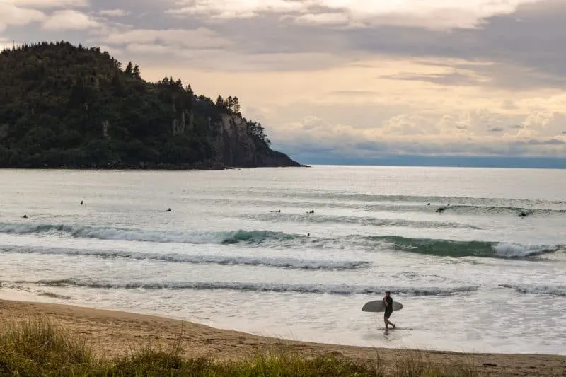 The Coromandel Surfer