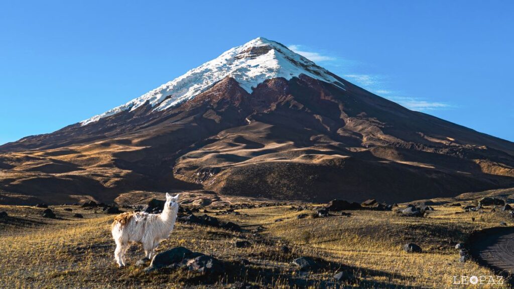 Cotopaxi Volcano is one of the best things to do in Ecuador.