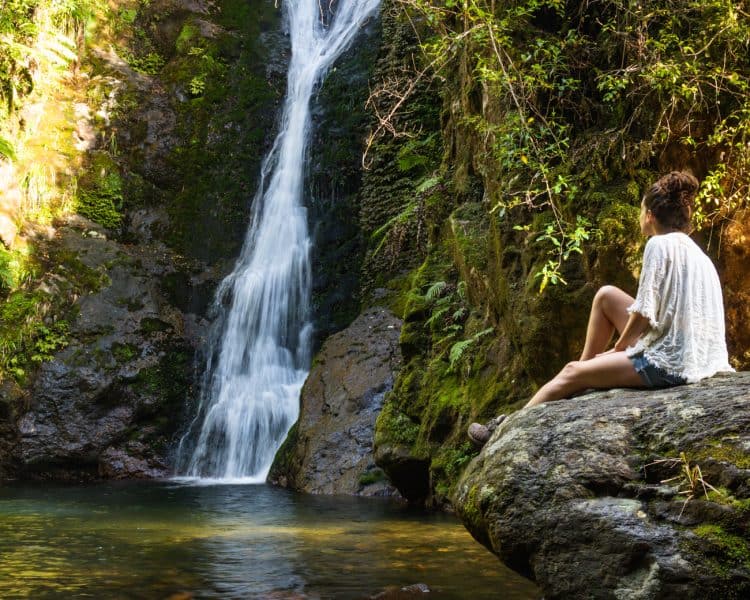 Wentworth falls on north island New Zealand